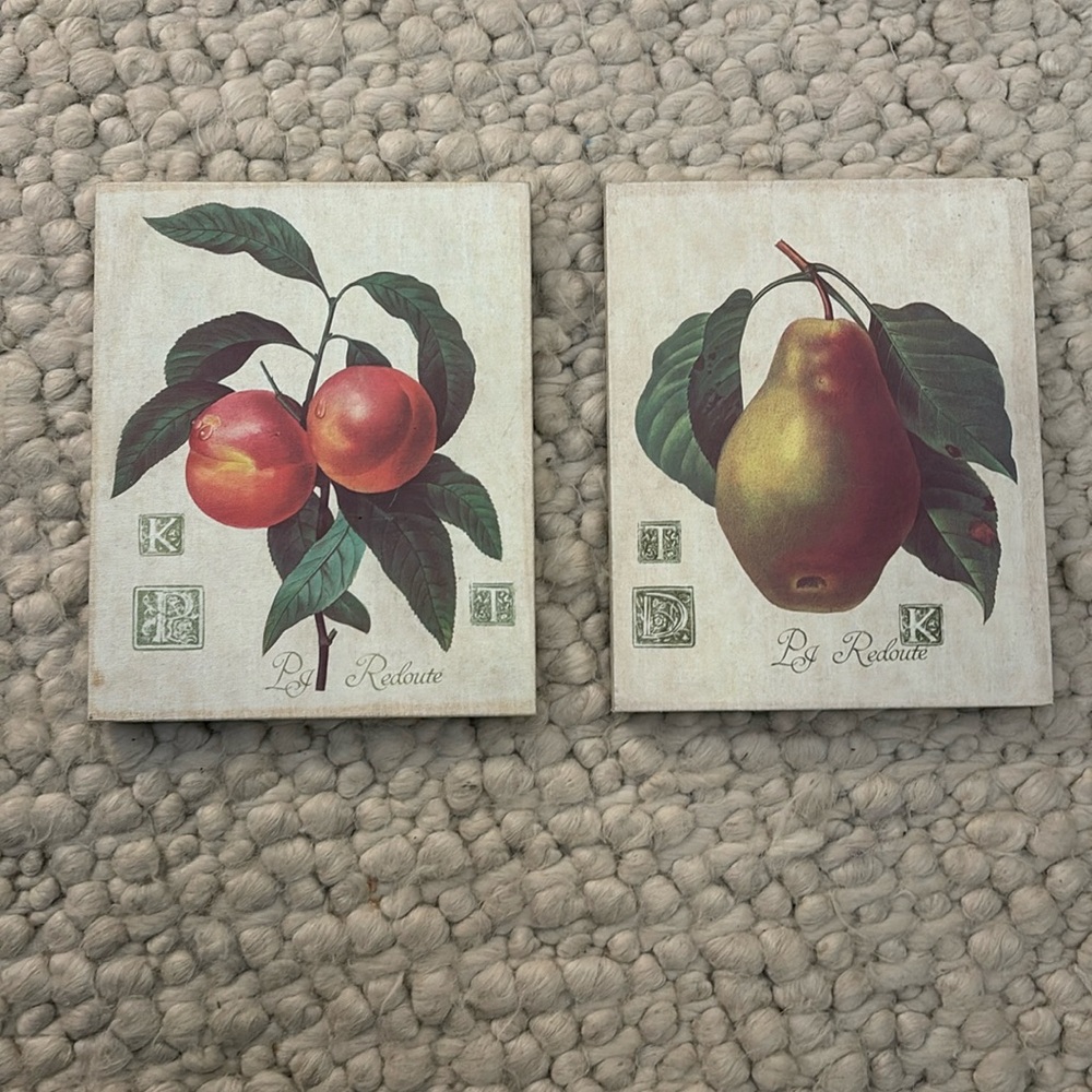 Fruit Art Decor